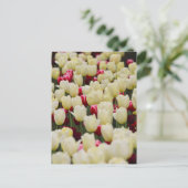 Zachte voorjaarsbloemen briefkaart (Staand voorkant)