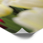 Zachte voorjaarsbloemen poster (Hoek)