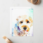 Zachte Wapenwervel Notitiekaartje (Voorkant / Achterkant in situ)