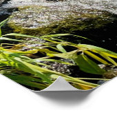 Zachte waterval scène kalm natuurlijke schoonheid poster (Hoek)