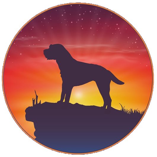 ZACHTE WHEATEN TERRIËR TRUI