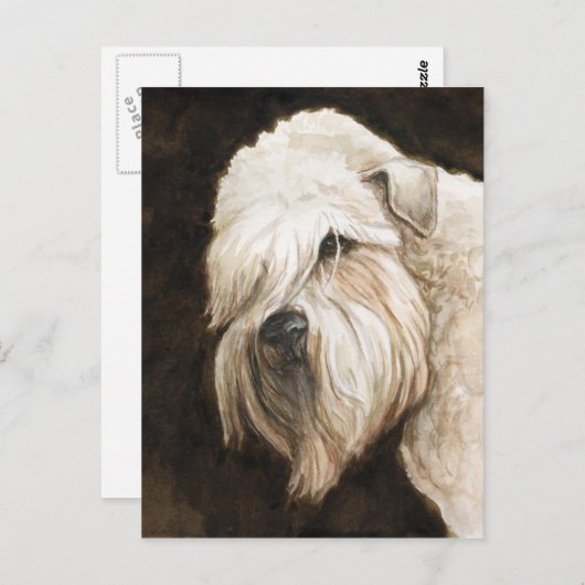 Zachte Wiektewieldop voor trekkend papier Briefkaart (Voorkant / Achterkant)