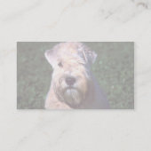 Zachte wielbedekking, wielrenner visitekaartje (Achterkant)