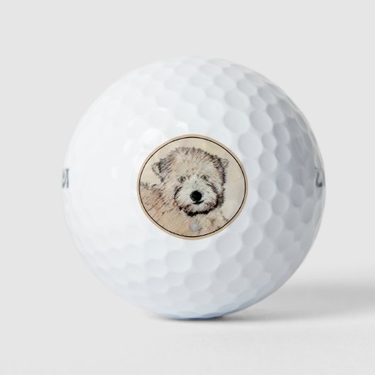 Zachte wielschilderende schilderkunst met wieltjes golfballen (Voorkant)