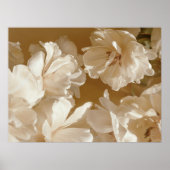 Zachte Witte Bloem Poster (Voorkant)