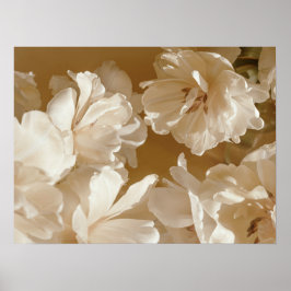Zachte Witte Bloem Poster