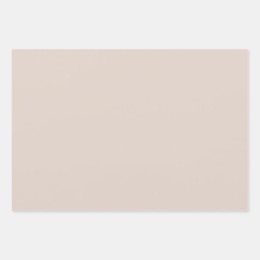 Zachte Witte Magnolia Bloemen Bruids Huwelijk Inpakpapier Vel (Voorkant 2)