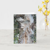 zachte witte schors wenskaart kaart (Gele Bloem)