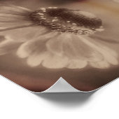Zachte Zinnia Daisy Flower in  Sepia Abstract Poster (Hoek)