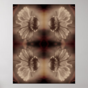 Zachte Zinnia Daisy Flower in  Sepia Abstract Poster