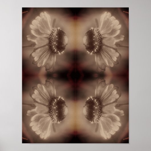 Zachte Zinnia Daisy Flower in  Sepia Abstract Poster (Voorkant)