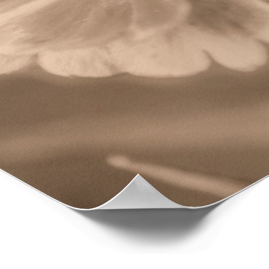 Zachte Zinnia Daisy Flower in Sepia Poster (Hoek)