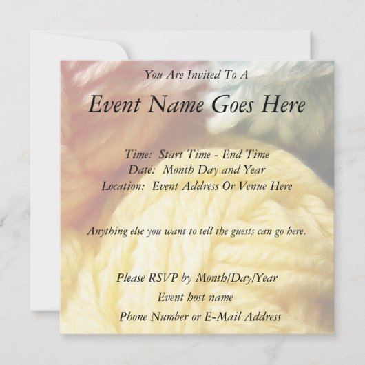 Zachte zolen van Garens Kaart (Voorkant)