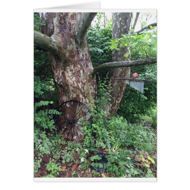 Zachte zomerregen (Voorkant)