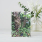 Zachte zomerregen briefkaart (Staand voorkant)