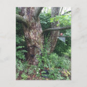 Zachte zomerregen briefkaart (Voorkant)