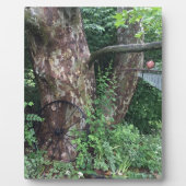 Zachte zomerregen fotoplaat (Voorkant)