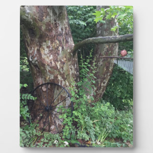 Zachte zomerregen fotoplaat