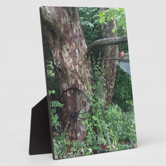 Zachte zomerregen fotoplaat (Zijkant)