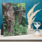 Zachte zomerregen fotoplaat (Zijkant)