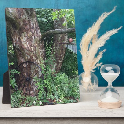 Zachte zomerregen fotoplaat (Zijkant)