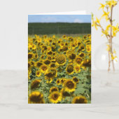 Zachte zonnebloem - Wenskaart aanmoedigen Kaart (Gele Bloem)