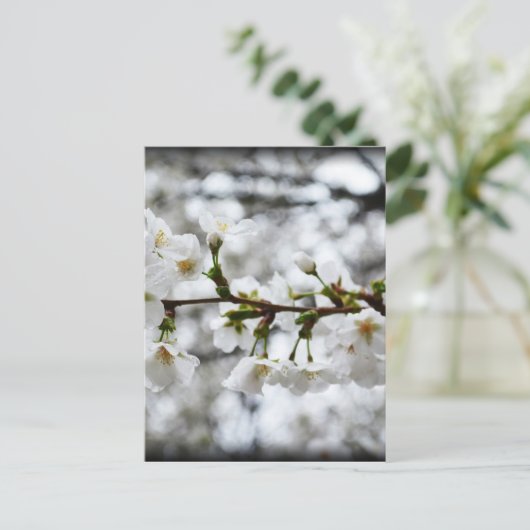 Zachte zuiverheid briefkaart (Staand voorkant)