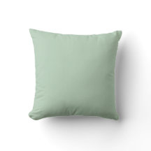 Zachtegroene minimalistische woondecoratiekussen