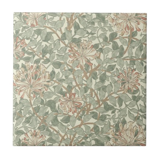 Zachtegroene vintage William Morris kamperfoelie Tegeltje (Voorkant)
