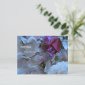 Zachtheid, een ziel voedsel, briefkaart (Staand voorkant)