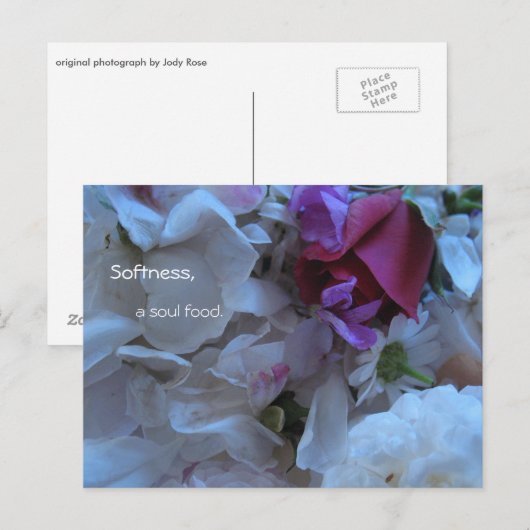 Zachtheid, een ziel voedsel, briefkaart (Voorkant / Achterkant)