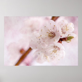 zachtheid van de lente poster