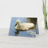 Zachtheid van een Kind Kaart (Voorkant)