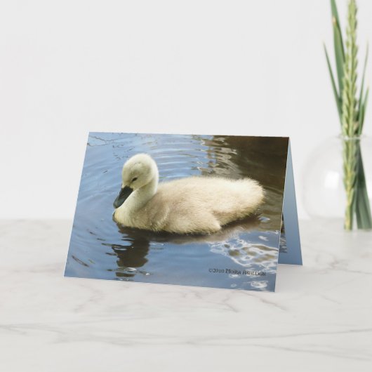 Zachtheid van een Kind Kaart (Voorkant)