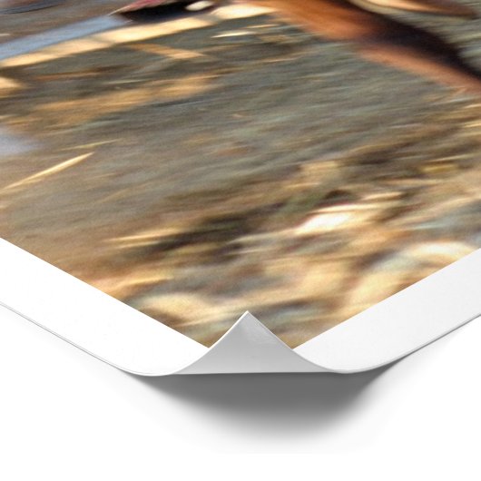 Zack & Jesse Poster (Hoek)