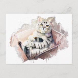 Zad kat. briefkaart