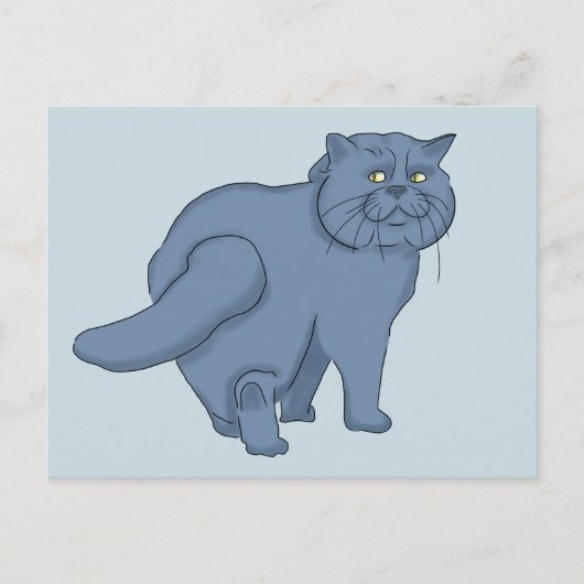 Zad kat. Britse kat Briefkaart (Voorkant)