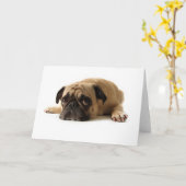 Zad Pug Kaart (Gele Bloem)