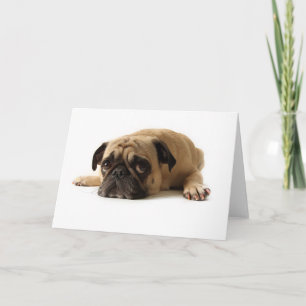 Zad Pug Kaart