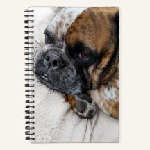 Zad Victoriaans Bulldog Foto 8x5 Notitieboek
