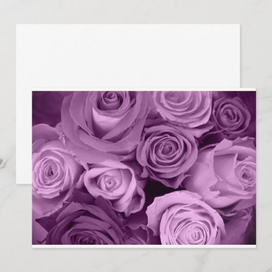 Zadden van Paarse Rozen (Voorkant / Achterkant)