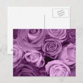 Zadden van Paarse Rozen Briefkaart (Voorkant / Achterkant)