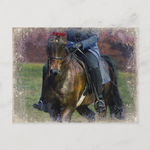 Zaddlesat Briefkaart