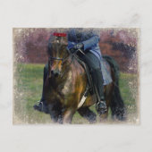 Zaddlesat Briefkaart (Voorkant)