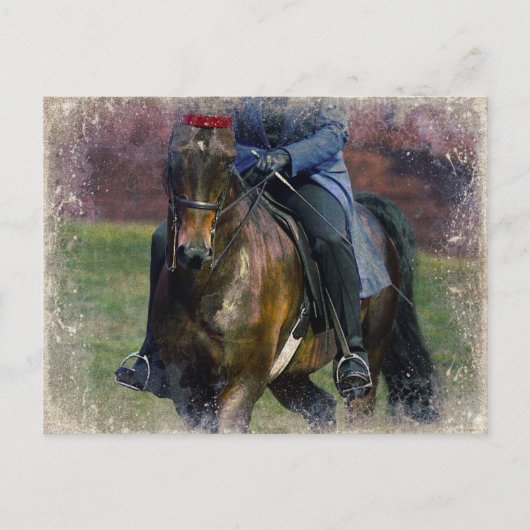 Zaddlesat Briefkaart (Voorkant)