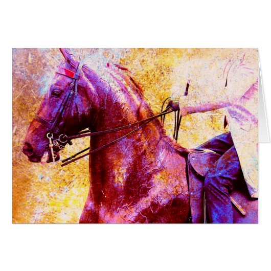 Zaddlesat Grunge (Voorkant Horizontaal)