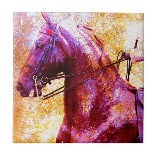 Zaddlesat Grunge Tegeltje (Voorkant)