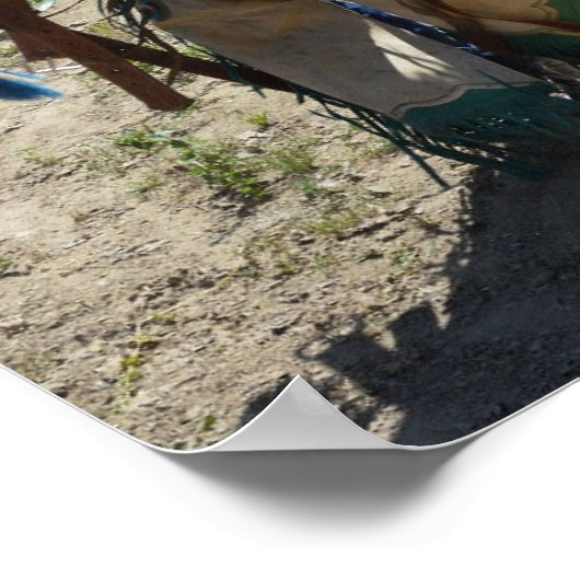 Zadel Cowboy in het Poster van het rietPet (Hoek)