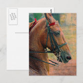 Zadel faux briefkaart (Voorkant / Achterkant)