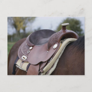 Zadel op een paard briefkaart